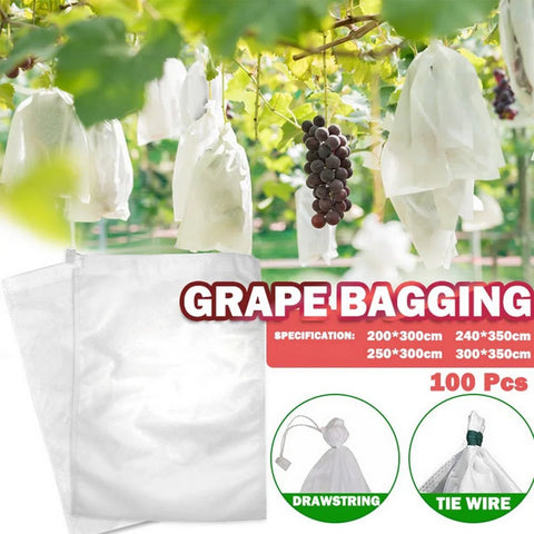 100pcs Fruit Protection Bags Pest Control Anti - Bird - EveryWares