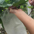 100pcs Fruit Protection Bags Pest Control Anti - Bird - EveryWares