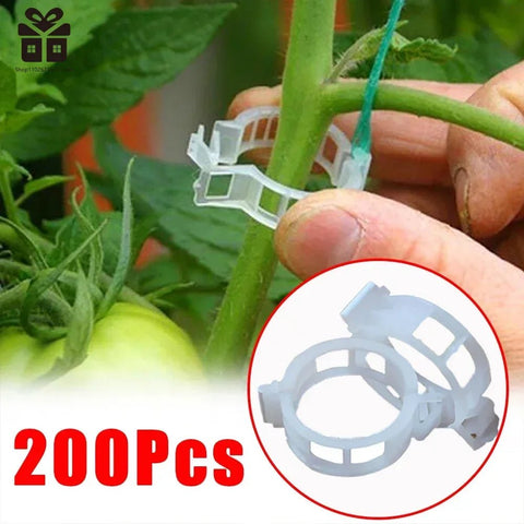 150/50Pcs Plastic Plant Support Clips Reusable Protection Fixing for Vegetable - EveryWares