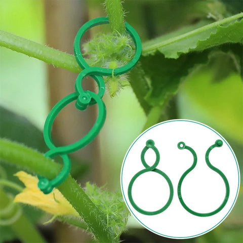 20/50/100Pcs Plastic Garden Vine, Strapping Clips Tie Plant Buckle Ring Garden Tomato Hook Plants Support Tool - EveryWares