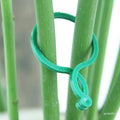 20/50/100Pcs Plastic Garden Vine, Strapping Clips Tie Plant Buckle Ring Garden Tomato Hook Plants Support Tool - EveryWares