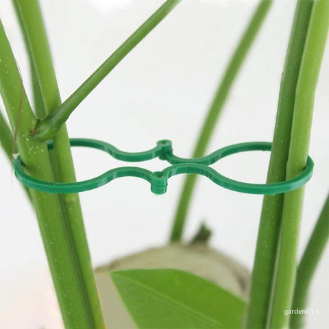 20/50/100Pcs Plastic Garden Vine, Strapping Clips Tie Plant Buckle Ring Garden Tomato Hook Plants Support Tool - EveryWares