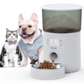 3L Automatic Pet Feeder With Voice Record Pets Food Bowl For Medium Small Dog Cat LCD Screen Dispensers 4 Times One Day - EveryWares