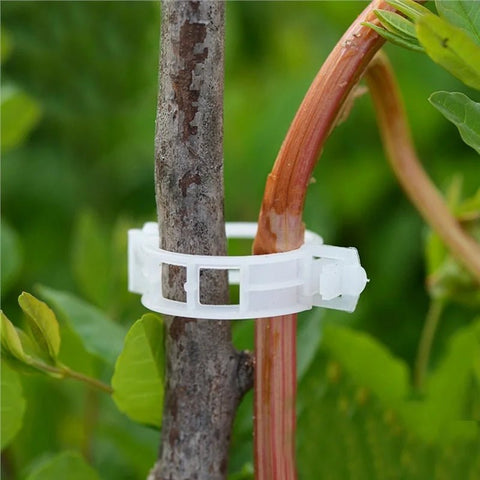 50/100Pcs Plastic Plant Support Clips Vine Tomato Stem Vegetable Fixing Clip Garden Greenhouse Accessories 30mm Plant Clips - EveryWares