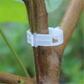 50/100Pcs Plastic Plant Support Clips Vine Tomato Stem Vegetable Fixing Clip Garden Greenhouse Accessories 30mm Plant Clips - EveryWares