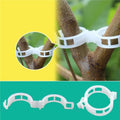 50/100Pcs Plastic Plant Support Clips Vine Tomato Stem Vegetable Fixing Clip Garden Greenhouse Accessories 30mm Plant Clips - EveryWares