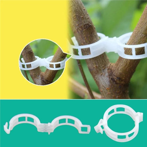 50/100Pcs Plastic Plant Support Clips Vine Tomato Stem Vegetable Fixing Clip Garden Greenhouse Accessories 30mm Plant Clips - EveryWares