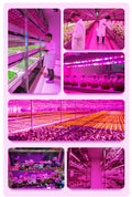 5V USB Led Plant Growing Light Full Spectrum Hydroponic Grow Lamps Indoor Plants Greenhouse - EveryWares