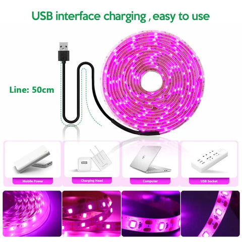 5V USB Led Plant Growing Light Full Spectrum Hydroponic Grow Lamps Indoor Plants Greenhouse - EveryWares