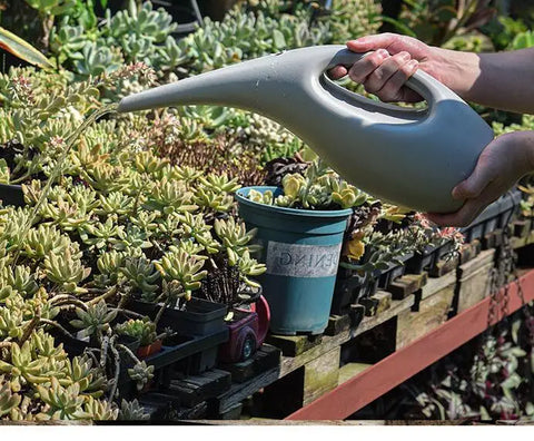 Regadera de boca larga, regadera de plantas verdes y flores, botella rociadora en maceta, cultivo de jardinería interior para el hogar