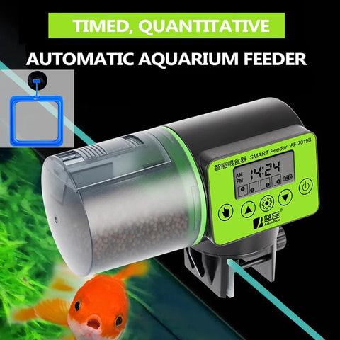 Smart Automatic Fish Dispenser