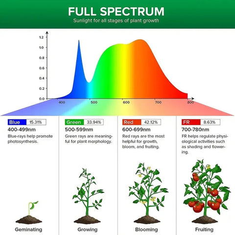 Plant Growing Lamp Full Spectrum Plant Growth Light USB 5V Height Dimmable Growing Lamp with Timer for Indoor Plants Hydroponics