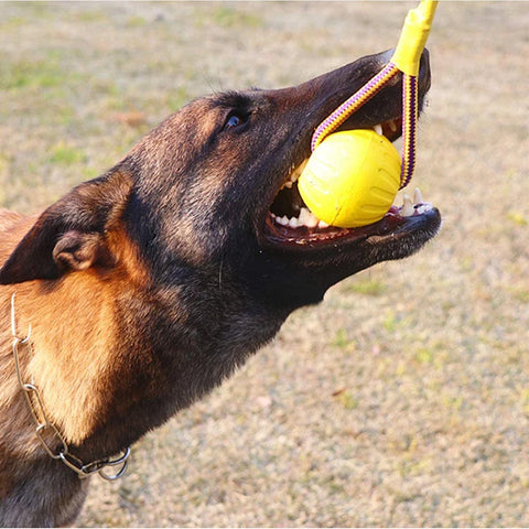 Brinquedos interativos para cães, corda, bola, brinquedo para jogar, mastigar, treinamento de cães, portátil, bola de eva, suprimentos para animais de estimação para cães pequenos e grandes