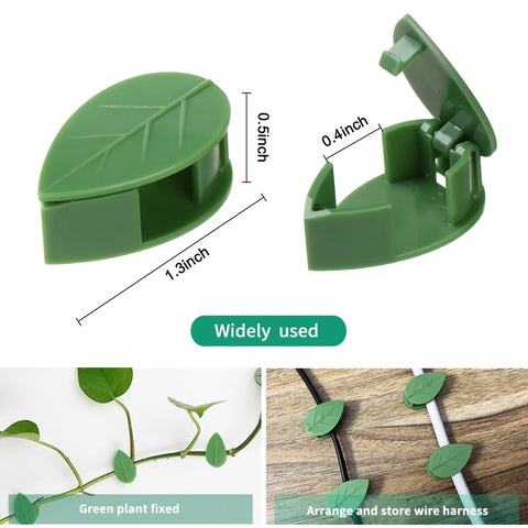 Suporte de parede de escalada para plantas invisíveis Suporte de videira de vime Fivela fixa Clipes de folhas Suporte de tração para jardim