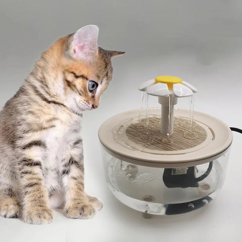 Fonte de água transparente para animais de estimação, circulação automática, dispensador de água para gatos, recarregável por usb, fonte de água para gatos