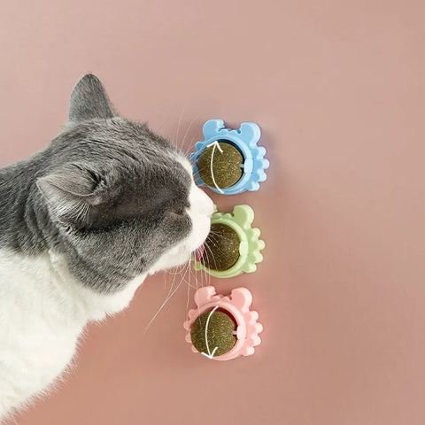 Bola de doces para gatos