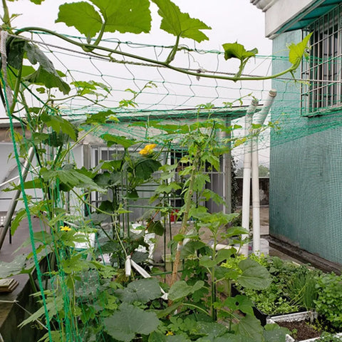 Hi-quality Nylon Garden Netting Loofah Morning Glory Flowers Vine Plants Climbing Net Cucumber Vine Grow Holder Brackets