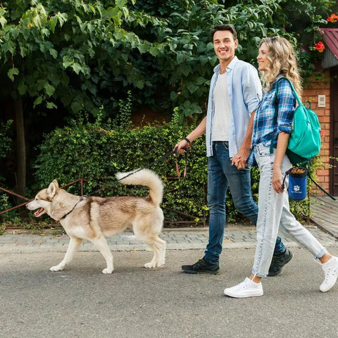 Bolsa de entrenamiento para perros, bolsa de cintura portátil para alimentación de mascotas