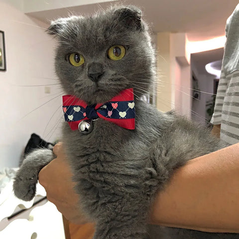 Bow Tie Collar Adjustable Cat Neck  with Bell Small Animal