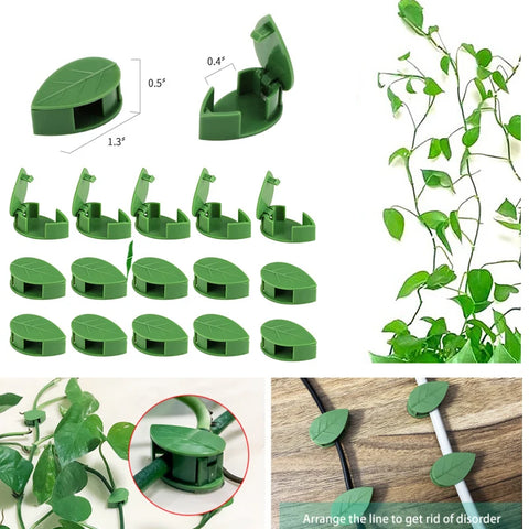 Soporte de pared invisible para trepar plantas, soporte de ratán para enredaderas, hebilla fija, clips para hojas, soporte de tracción para jardín