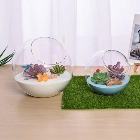 Transparent Oblique Spherical Glass Vase Hydroponic Fleshy Micro Landscape
