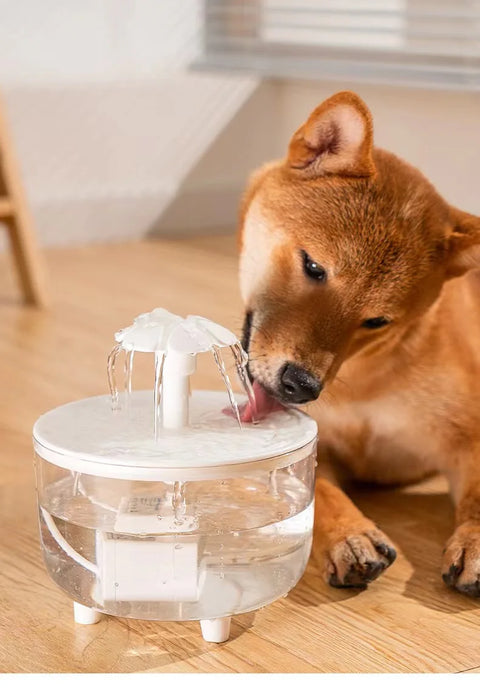 Fuente de agua transparente para mascotas, dispensador de agua potable para gatos con circulación automática, fuente de agua recargable por USB para gatos