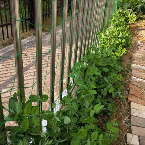 Red de nailon de alta calidad para jardín, esponja vegetal, flores de gloria de la mañana, plantas de vid, red trepadora, soportes de soporte para cultivo de vid y pepino