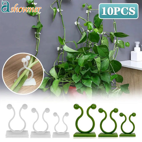 Clips de pared para plantas trepadoras, ganchos con hebilla para enredaderas, abrazadera de ratán, fijador autoadhesivo para plantas