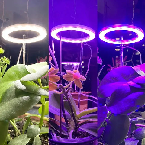 Plant Growing Lamp Full Spectrum Plant Growth Light USB 5V Height Dimmable Growing Lamp with Timer for Indoor Plants Hydroponics