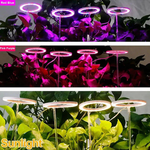 Lámpara de cultivo de plantas, luz de crecimiento de plantas de espectro completo, lámpara de cultivo regulable de altura USB de 5V con temporizador para plantas de interior hidropónicas