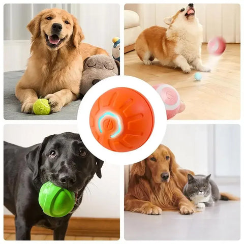 Pet Automatic Rolling Dog Toy Training Self-propelled Kitten Toy Indoor Interactive Play Electric Smart Dog Ball Toy Supplies