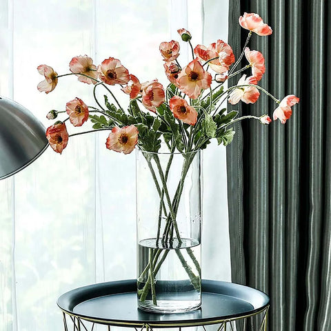 Transparent Glass Hydroponic Vase Modern Small Cylinder Flower Centerpiece Vases