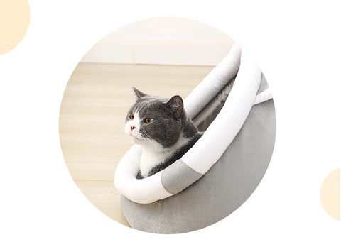 Bed for cats or small dogs with washable cushion