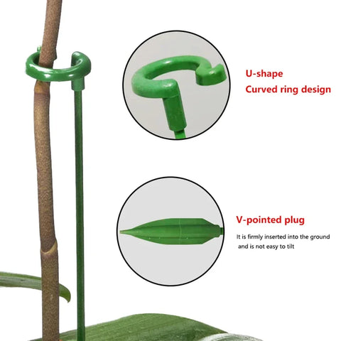 Estacas de soporte para plantas, estaca de soporte para flores de tallo único para jardín, jaula para plantas de Amaryllis, soporte de flores de plástico para suculentas