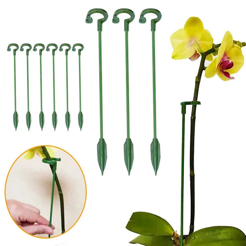 Estacas de soporte para plantas, estaca de soporte para flores de tallo único para jardín, jaula para plantas de Amaryllis, soporte de flores de plástico para suculentas