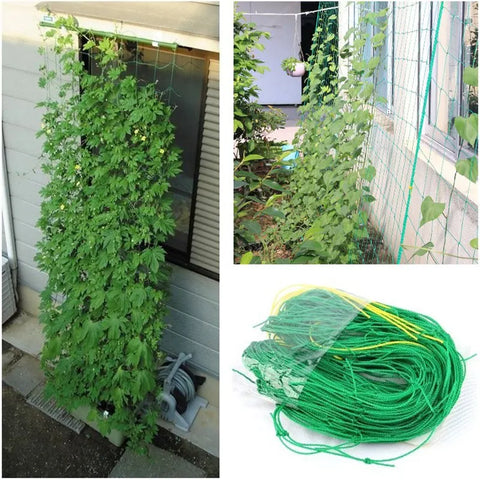 Hi-quality Nylon Garden Netting Loofah Morning Glory Flowers Vine Plants Climbing Net Cucumber Vine Grow Holder Brackets