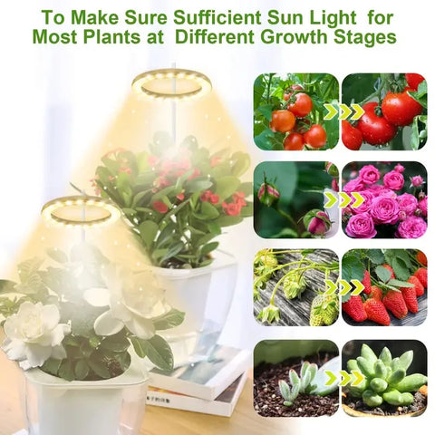 Plant Growing Lamp Full Spectrum Plant Growth Light USB 5V Height Dimmable Growing Lamp with Timer for Indoor Plants Hydroponics