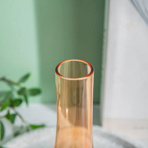 Glass Slim Transparent Vase Hydroponic Dried Flower