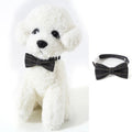 Adjustable Breakaway Collar with Bell kitten Pet Supplies Bow Tie - EveryWares