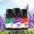 Aromatherapy Essential Diffuser Oil - EveryWares