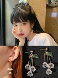 Assorted Resin or Crystal Earrings - EveryWares