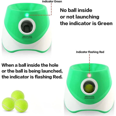 Automatic Throwing Machine for Dog Pet Toy - EveryWares