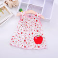 Baby Dress Embroidered Summer Cotton Dress 3 - 12 Months - EveryWares