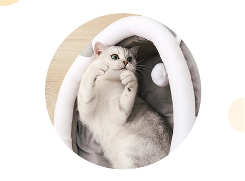 Bed for Small Pets with Washable Cushion - EveryWares