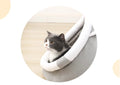 Bed for Small Pets with Washable Cushion - EveryWares