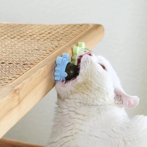 Candy Ball For Cats - EveryWares