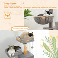 Cat Tree with Large, Cozy Scratching Posts - EveryWares