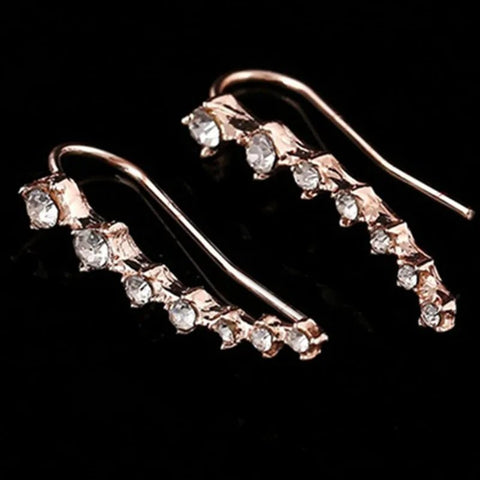 Elegant Earrings With Crystals - EveryWares