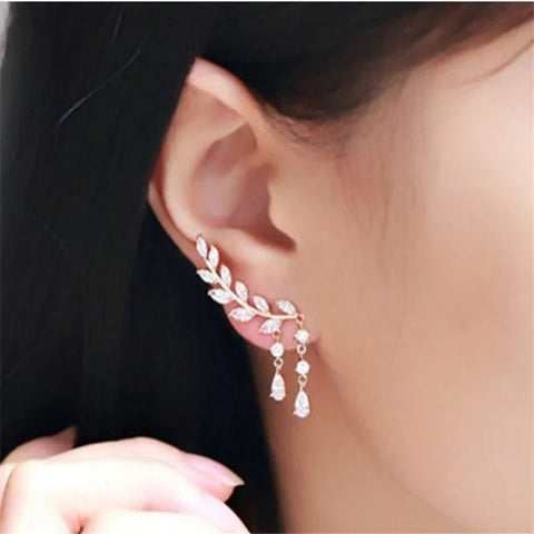 Elegant Earrings With Crystals - EveryWares